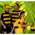 Bee Ladybug Spider Horns Costume  